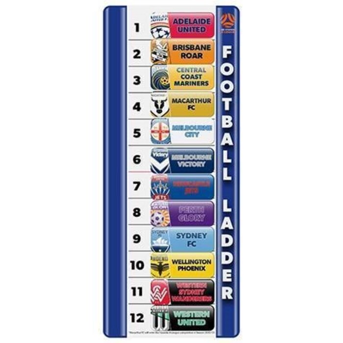 Magnetic Ladder