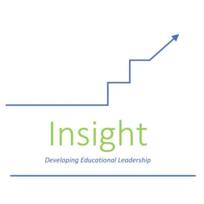 Insight Report
