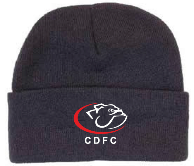 Supporter Beanie - Navy