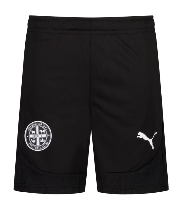 2024/25 PUMA TRAINING SHORTS