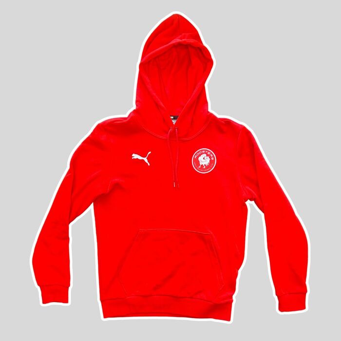 Puma Kids Red Hoodie