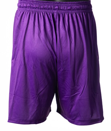 Home Shorts Adults 2023-24