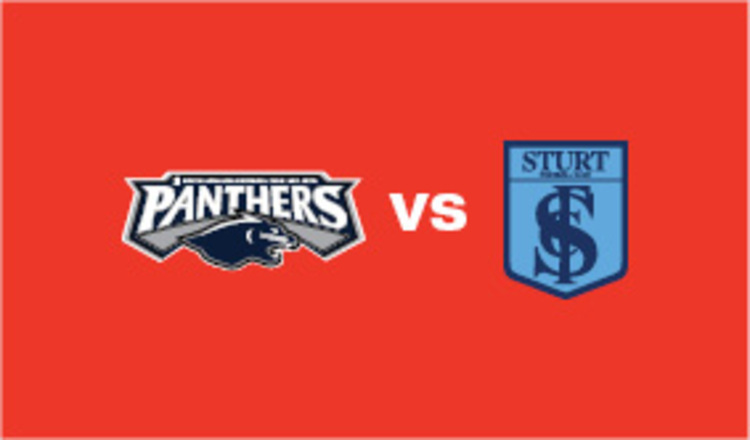 SANFLW Preliminary Final Ticket