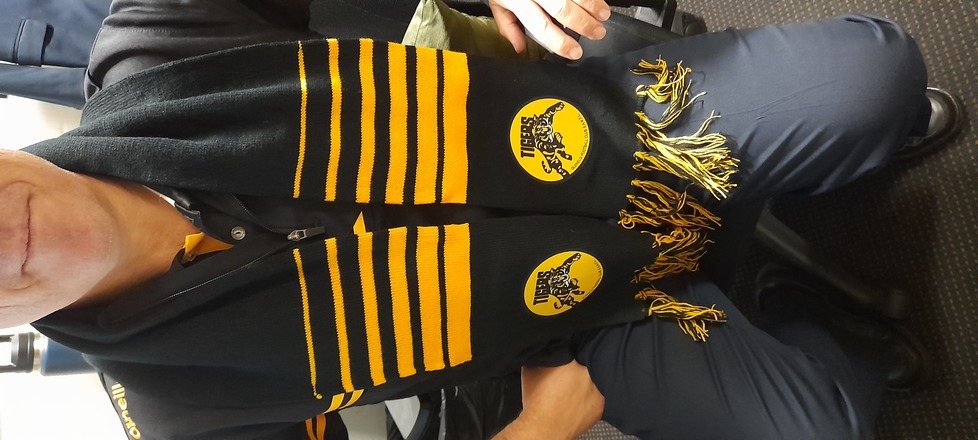 Black & Gold Scarf