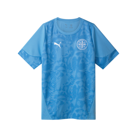 PUMA 25/26 Training Tee