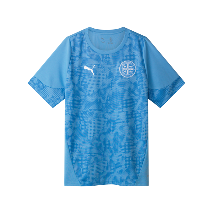 PUMA 25/26 Training Tee