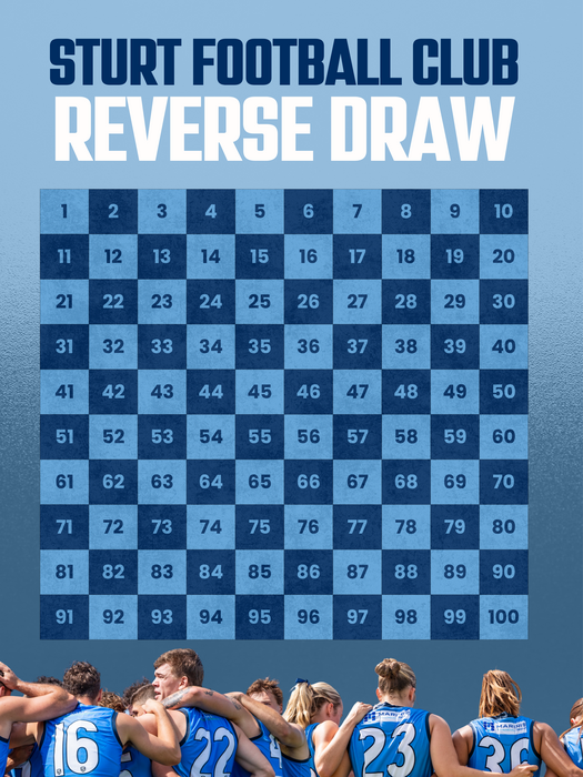 Reverse Draw - Ticket # 2