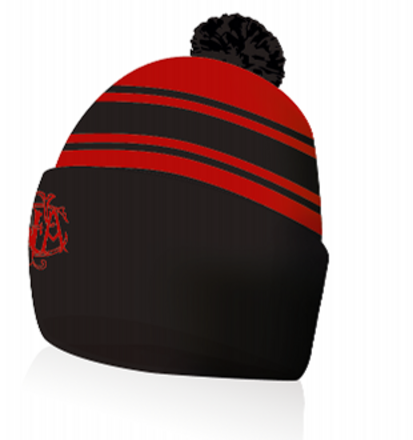 2026 Beanie