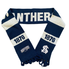 2022 Panthers Scarf