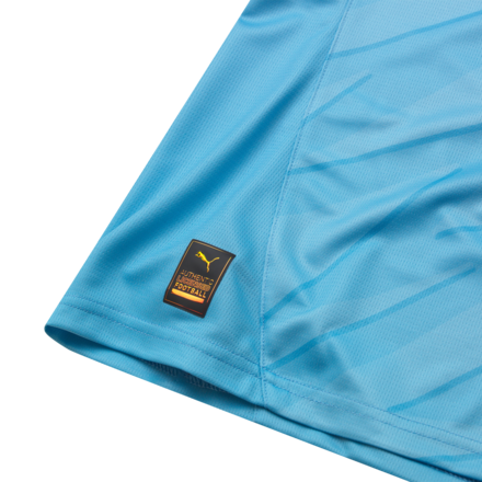 PUMA 25/26 Home Jersey - Mens