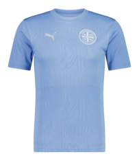 2024/25 PUMA TRAINING TEE