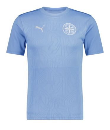 2024/25 PUMA TRAINING TEE