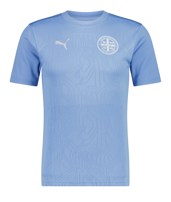 2024/25 PUMA TRAINING TEE