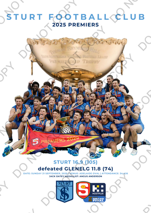 PRE-ORDER: Premiers Team Frame