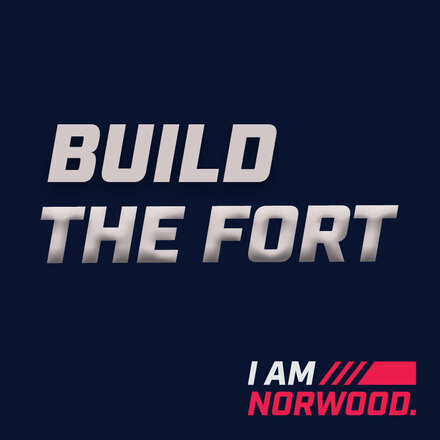 Build the Fort - Fence Picket (General Supporter Section)