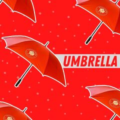 NAFC Umbrella