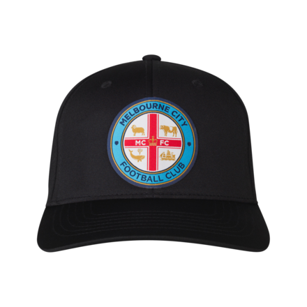 PUMA 25/26 TEAM CAP