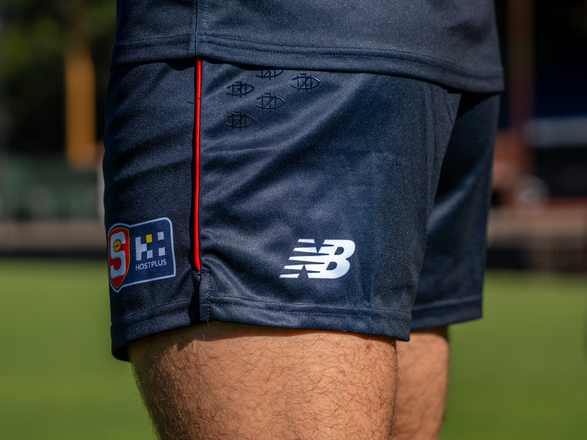 2025 Playing Shorts