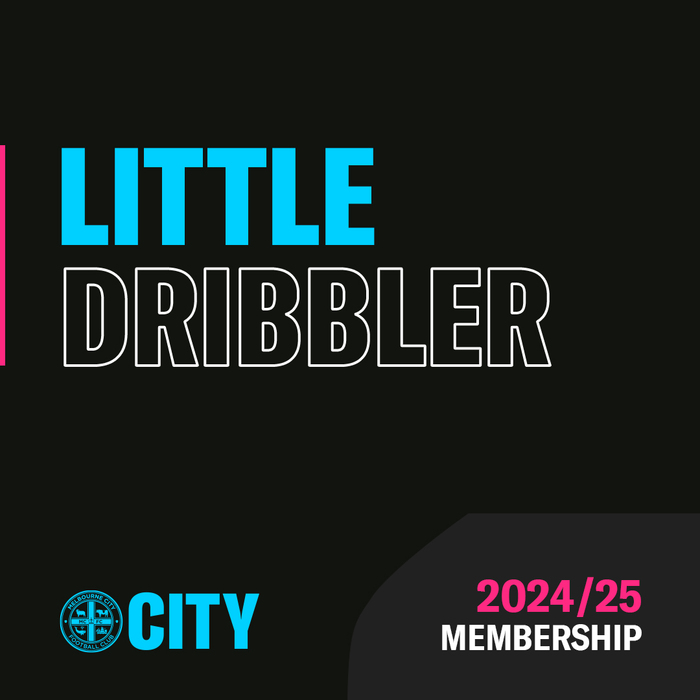 City Little Dribbler