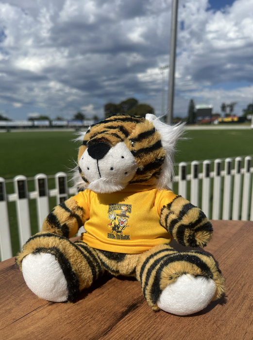 2024 - Premiership Tiger toy