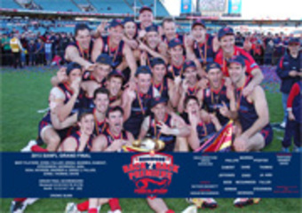 2013 PREMIERSHIP POSTER (SMALL)