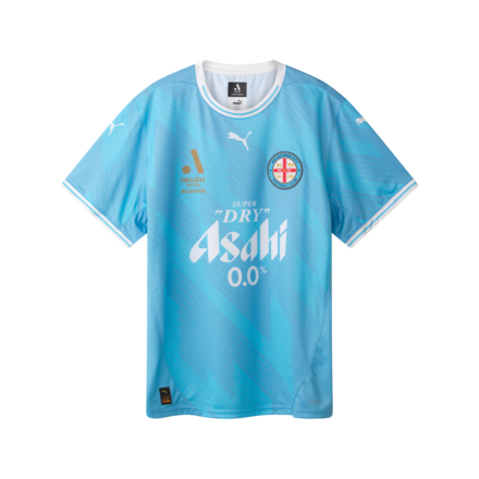 PUMA 25/26 ALM Warm Up Top