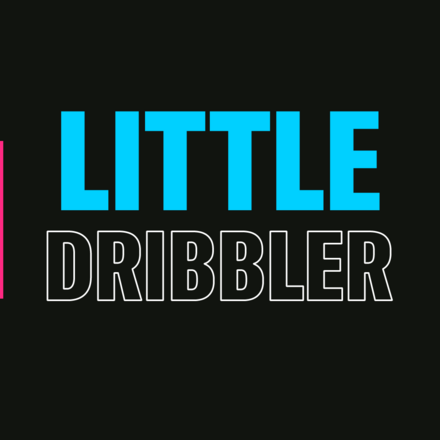 City Little Dribbler