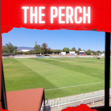 The Perch | Round 18