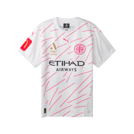 PUMA 25/26 Third Jersey - Mens
