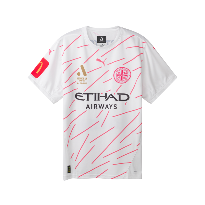 PUMA 25/26 Third Jersey - Mens