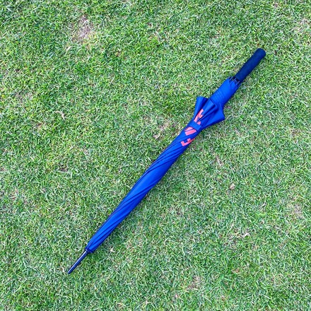 Umbrella