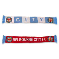 Stadium Scarf